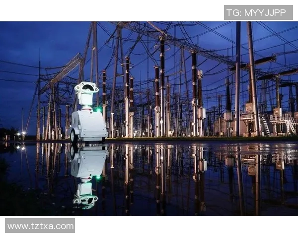 吕迪格在国际赛场的崛起与未来发展潜力分析