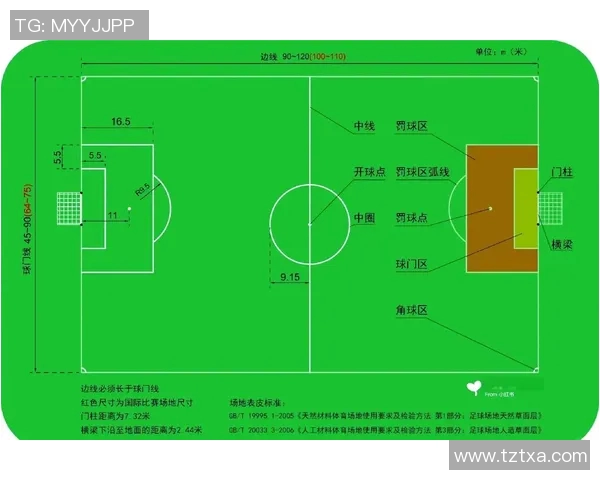 陈敏独家解析足球技巧与战术分享，助你提升球场表现与理解