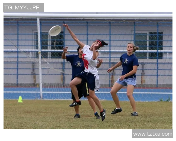 飞盘比赛经验排行榜揭晓北京飞盘队荣获第七名成就斐然