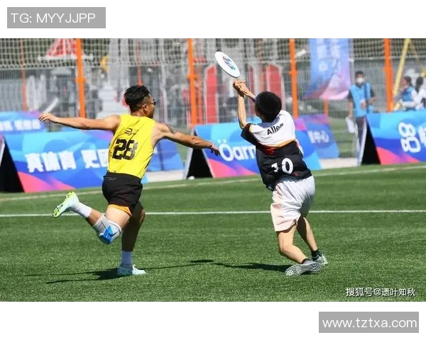 飞盘竞技的魅力：深入了解北京飞盘队的技术与战术解析